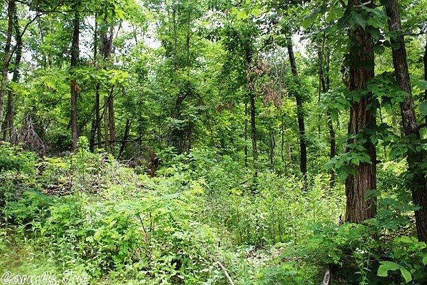 2nd image of Iron Mountain Road