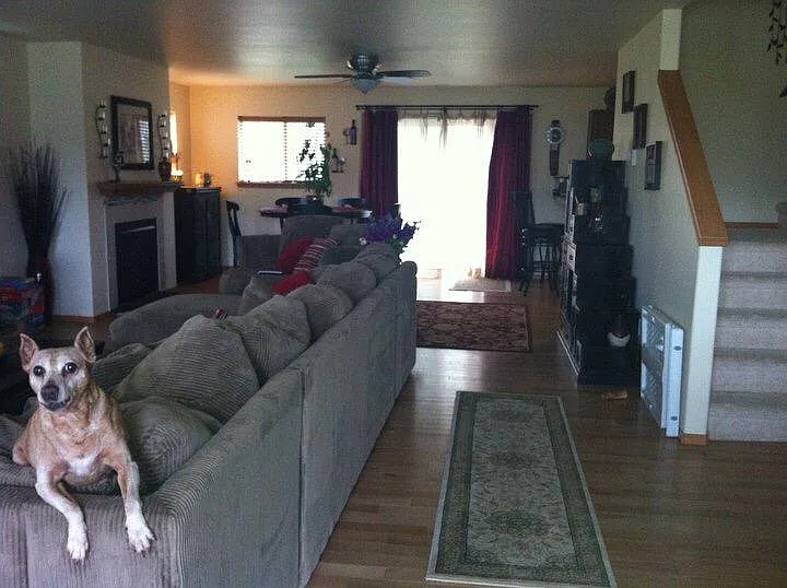 3 bed, 2.5 bath, 2704 sqft, $2,900 — Photo 3