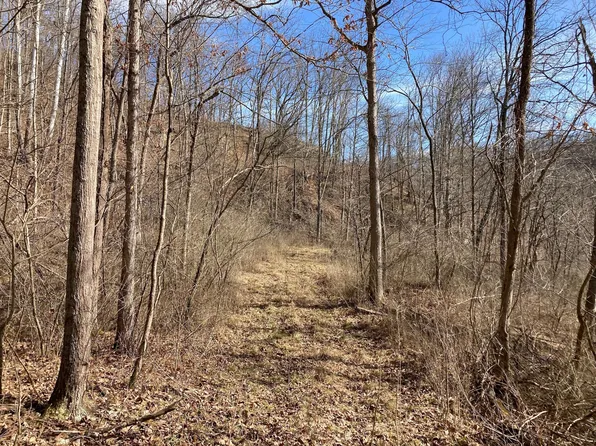 8168 N Island Run Rd NW, McConnelsville, OH 43756