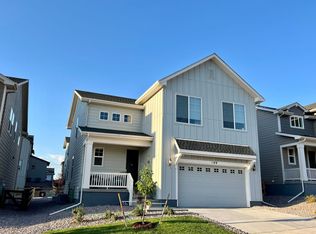 199 Simmental Loop, Castle Rock, CO 80104