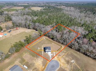 125 Braxton Rd, Harleyville, SC 29448