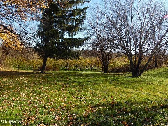 3rd image of 4035 Cedar Creek Grn
