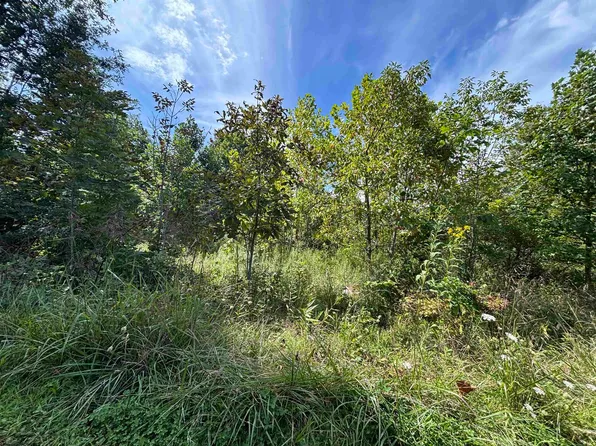 165 Merdian Rd, Philippi, WV 26416