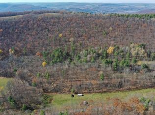 5831 Burt Hill Rd, Canisteo, NY 14823