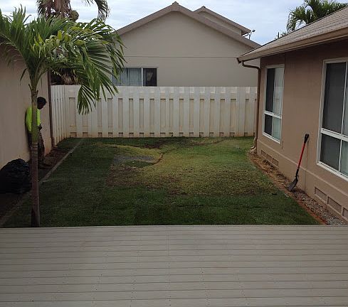 Deck & Back yard