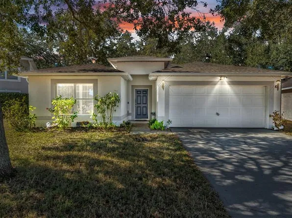 30244 Birdhouse Dr, Wesley Chapel, FL 33545