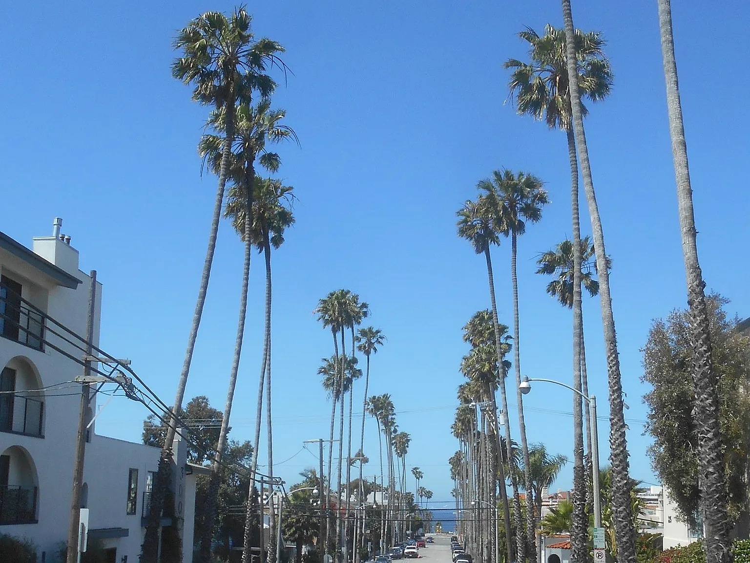 325 Bay Street, Santa Monica, Ca. 90405 — Photo 4