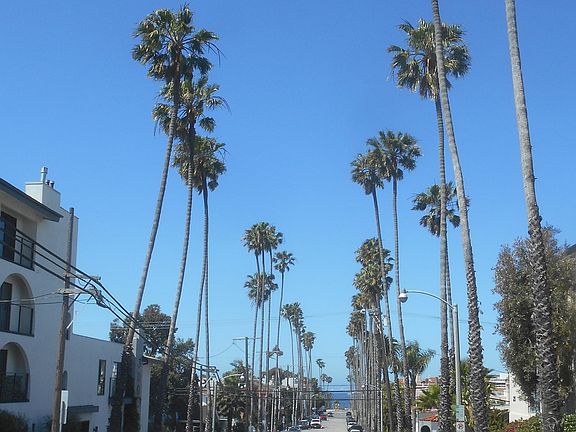 Pacific Ocean at Bay Street
