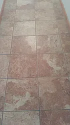 Rented by Tenisha Peterkin LREB