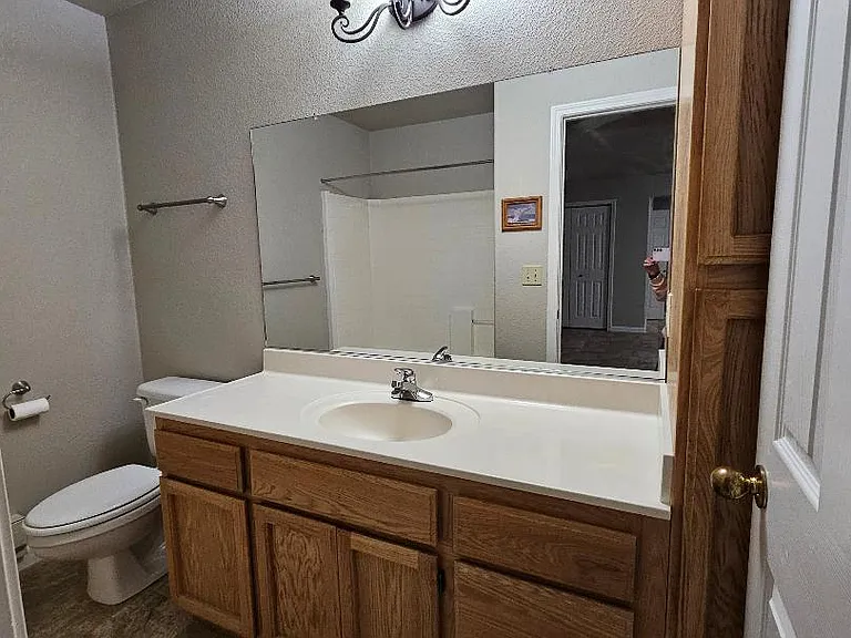Downstairs Bath Tub/Shower Linen Cabinets