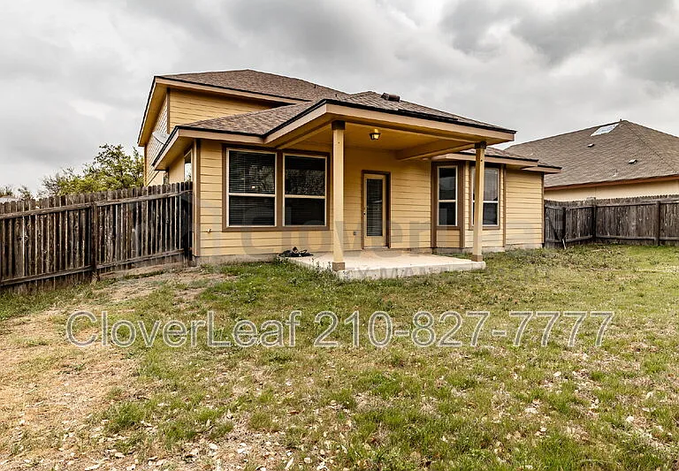 3734 Ox Eye Daisy — Photo 45