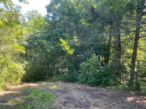 3rd image of 7.85 Acres Knoll Way #Top-tr12