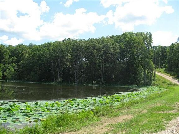 3rd image of 65 Erica Dr