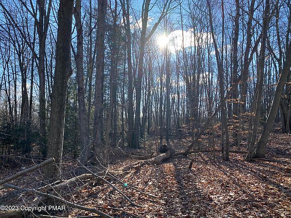 3rd image of Squirrel Trail & Coyote Ct