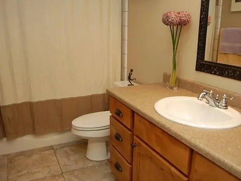 11306 S Via Bonito Dr — Photo 16