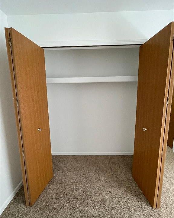 42597 Lilley Pointe Dr #90, photo 21