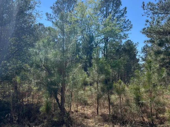 708 Kingstown Road, Sardis, GA 30456