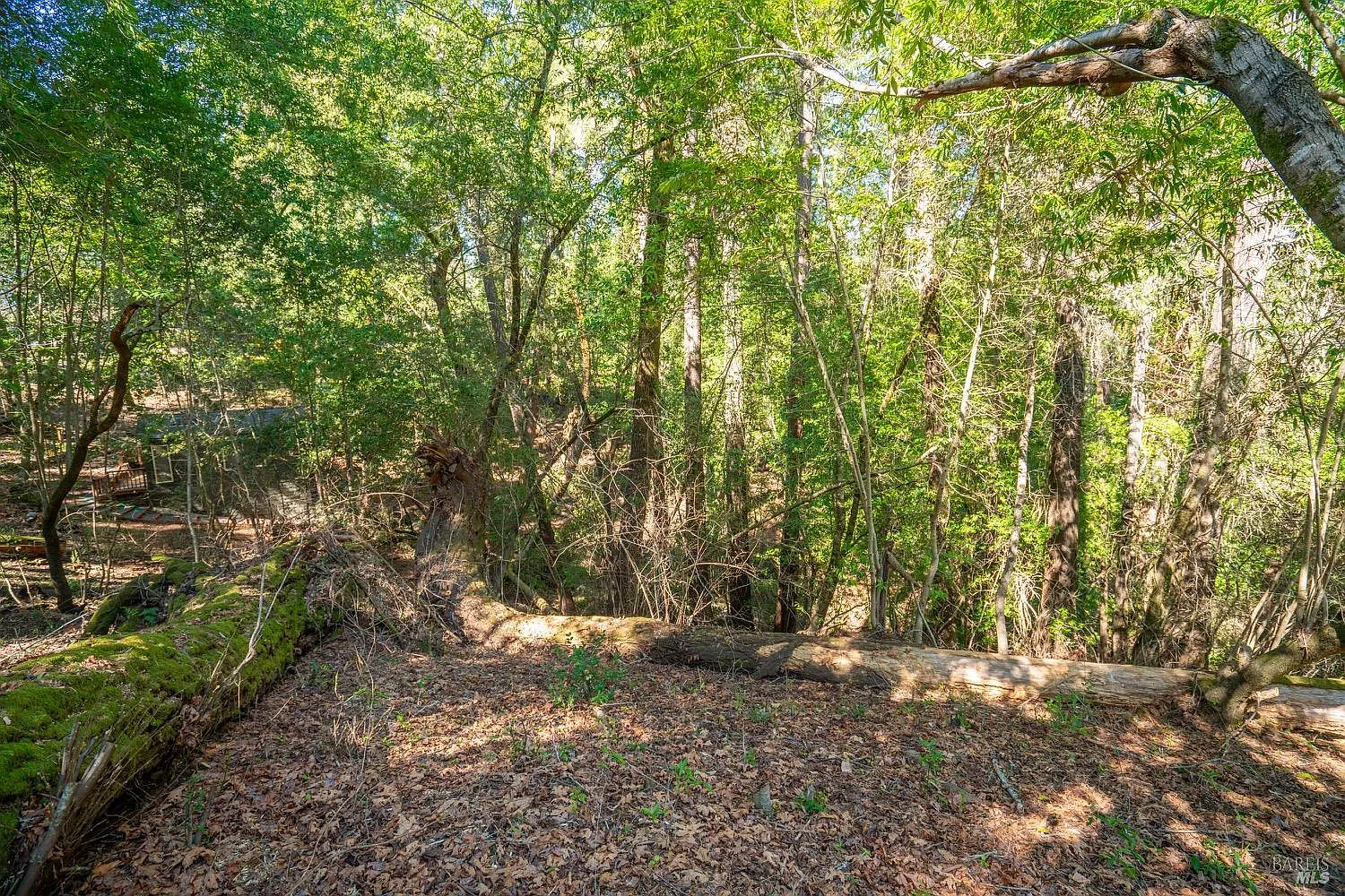 10612 Canyon Road - Photo 8