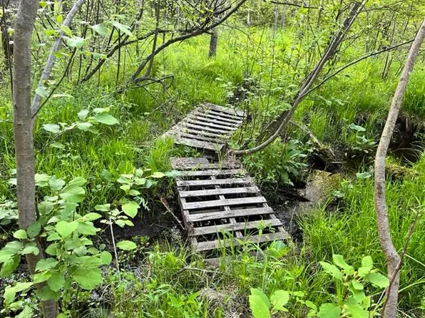 Vl 19.5 Healy Lake Rd, Kaleva, MI 49645