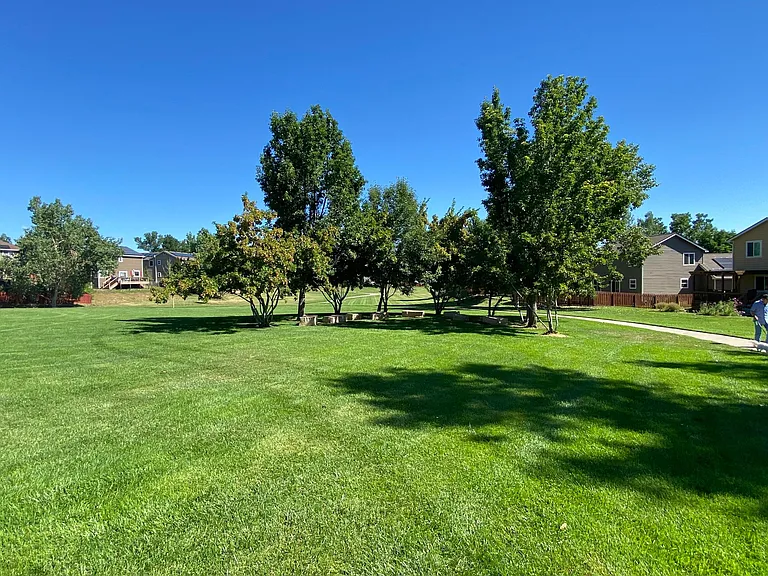407 Arbor Dr — Photo 27