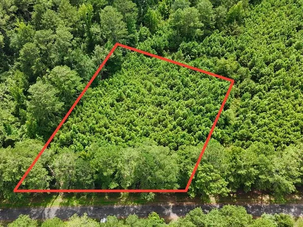 County Road 7, Clio, AL 36017