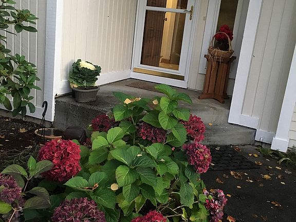 5th image of 1001 NE 126th St