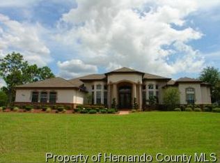 5480 Firethorn Point, Spring Hill, FL 34609