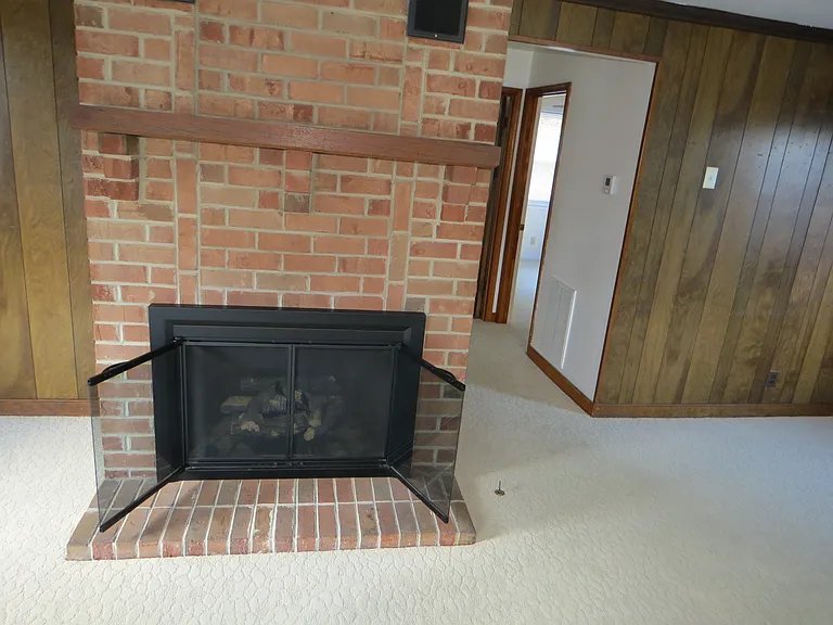 245 Swan View Dr — Photo 25