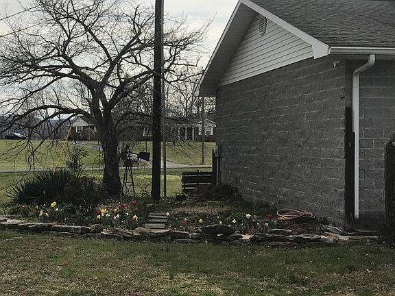Flower Garden