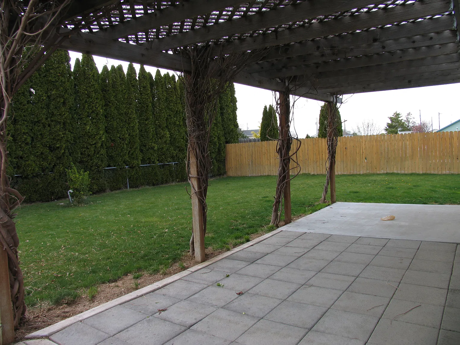 3 bed, 1173 sqft, $1,800 — Photo 2