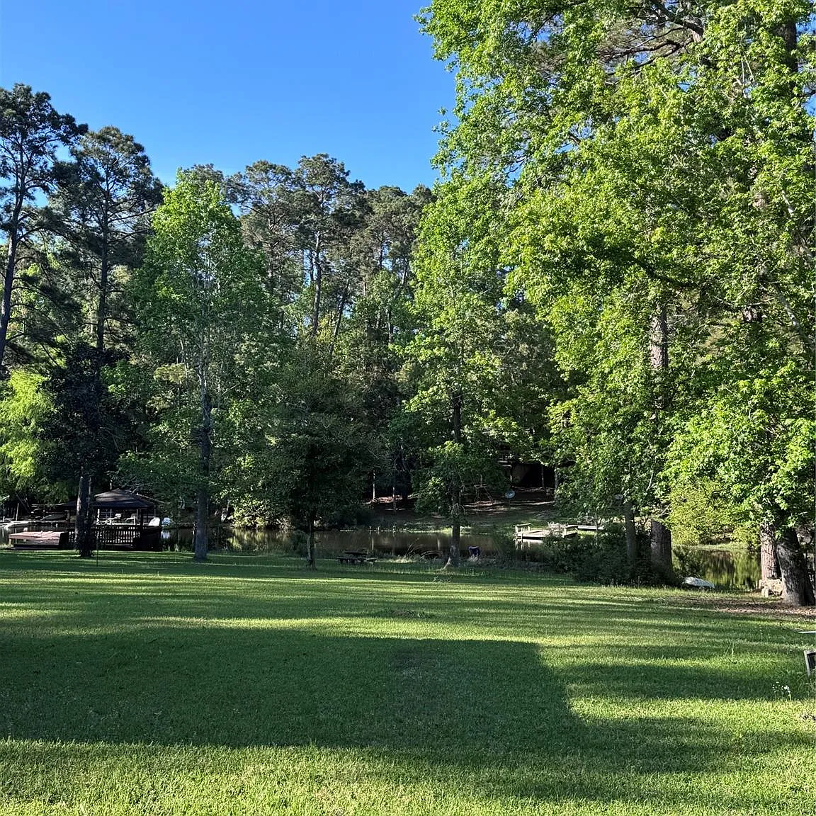 3 bed, 2.0 bath, 1199 sqft, $1,800 — Photo 4