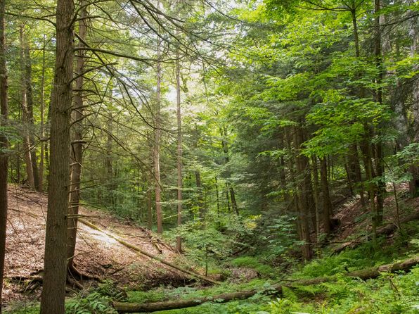 Brooktondale NY Real Estate Brooktondale NY Homes For Sale Zillow