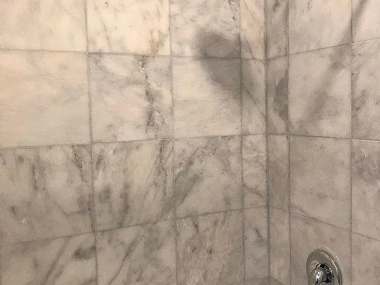 244 Richmond Ave #1 — Photo 9