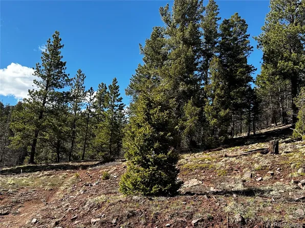 359 Powers Road LOT 359, Fort Garland, CO 81133