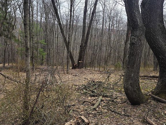 2nd image of 0 Kilmer Rd