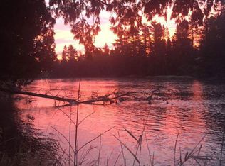 680 Ausable Dr, Mio, MI 48647