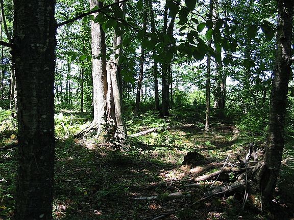 perfect for camping and hunting