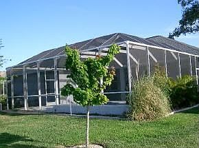 Rear view
