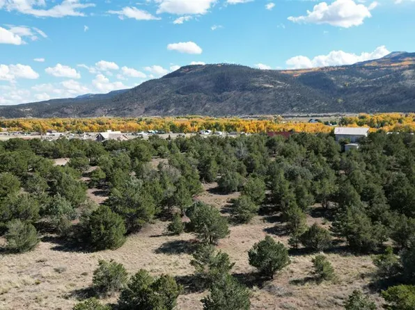 549 Milner Pass Road, South Fork, CO 81154