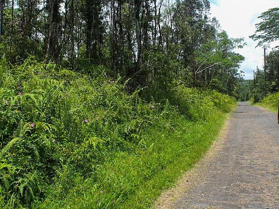 2nd image of Ginger Rd Lot 275