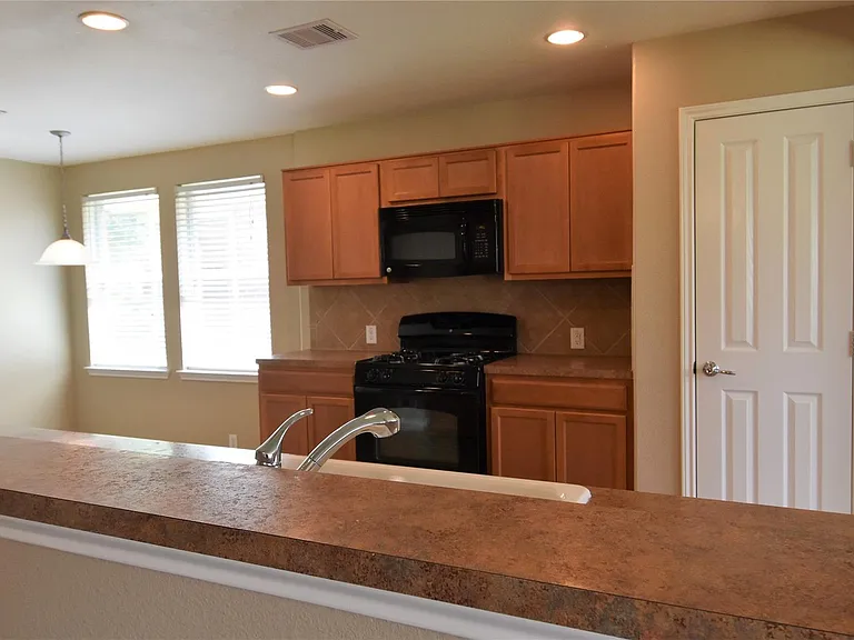 834 Honeysuckle Vine Dr — Photo 19