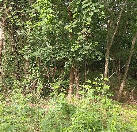 3rd image of 540 Debbie Dr Lot 24