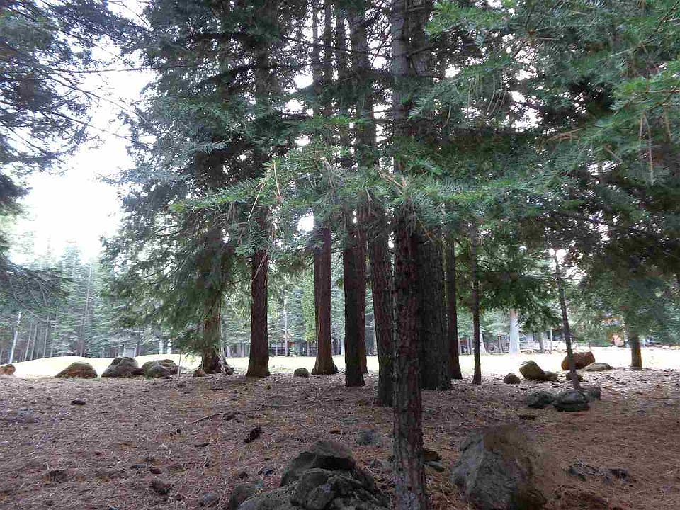 1st image of 346 Lake Almanor West Dr