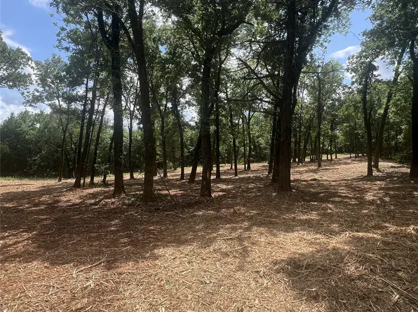 0 County Road 2980, Windom, TX 75492