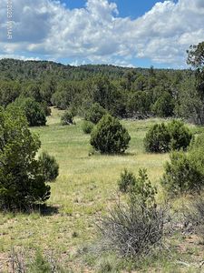 6325 Natures Way, Pinedale, AZ, 85934
