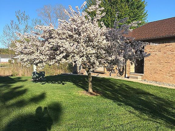 3rd image of 48372 Marwood Dr #44