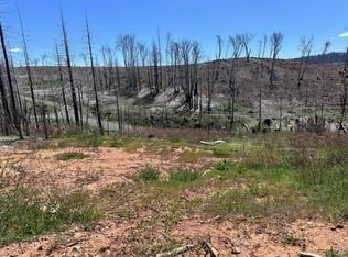 4963 Deertrack Ct, Grizzly Flats, CA 95636