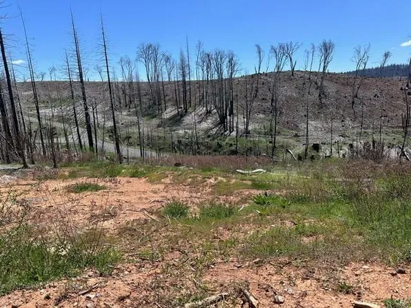 4963 Deertrack Ct, Grizzly Flats, CA 95636