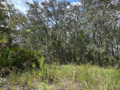 2704 W Patterson Ct, Lecanto, FL, 34461