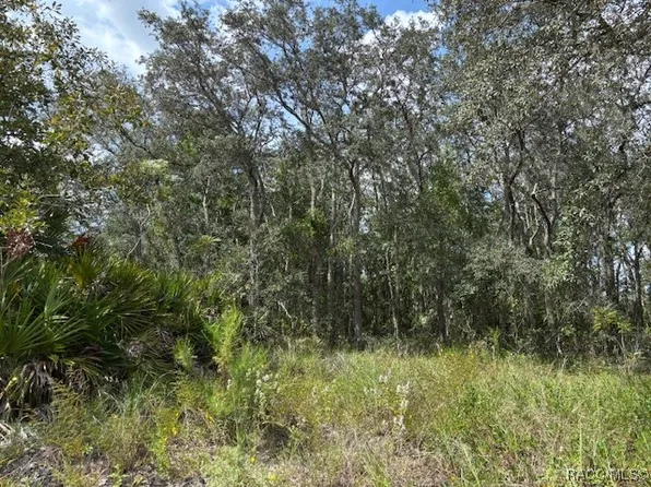 2704 W Patterson Ct, Lecanto, FL 34461
